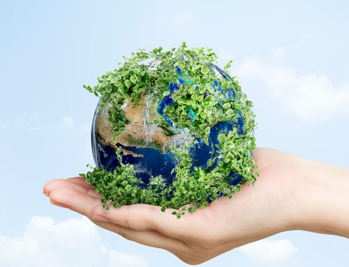 The Environmental Pillar ( Cloned )